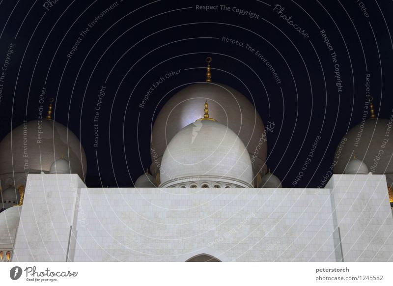 1001 Nacht 1 Ferien & Urlaub & Reisen Sightseeing Abu Dhabi Moschee Kuppeldach ästhetisch exotisch groß rund Gefühle Leidenschaft schön Glaube demütig Design