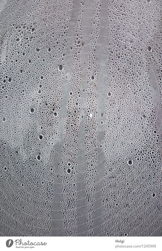 !trash!2015 | Kondenswasser Umwelt Wassertropfen Glas authentisch außergewöhnlich einfach Flüssigkeit nass grau weiß einzigartig Wandel & Veränderung Farbfoto