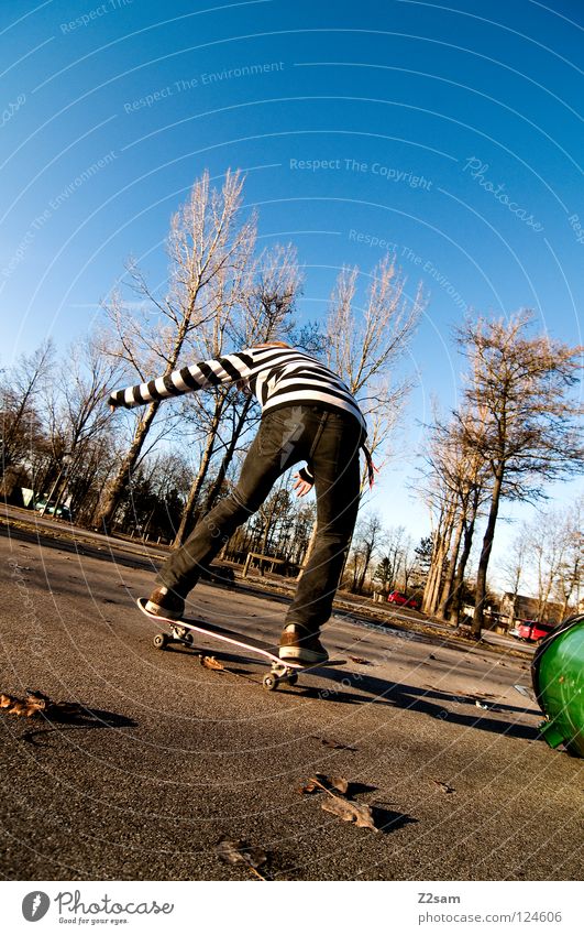 landing Skateboarding Fass Baum Sommer grün Teer Blatt fahren Zufriedenheit Funsport Mensch Parkdeck aufkommen gesteift Jeanshose blau Himmel Rücken Neigung