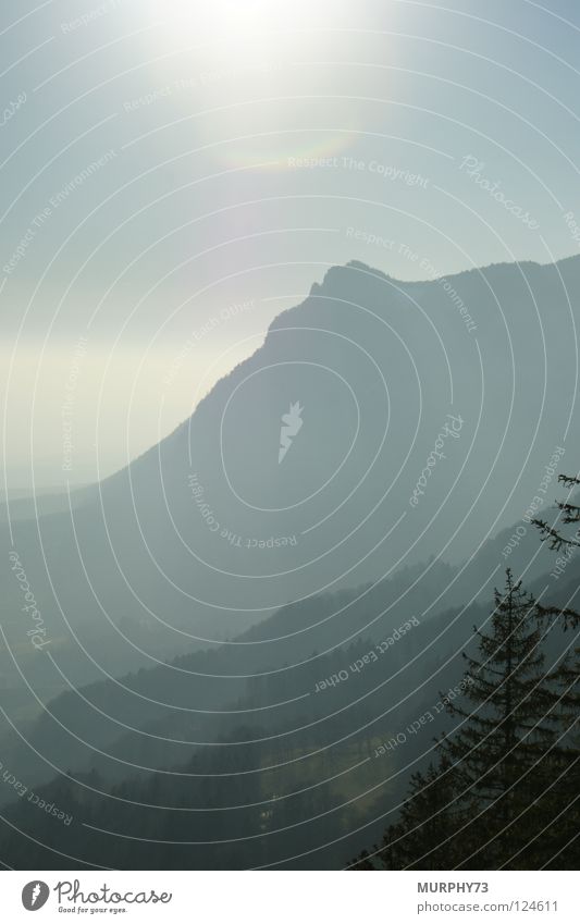 Bergige Schattierungen Schweiz Schatten Wald Hügel Nebel Baum Gegenlicht dunkelgrau weiß hell-blau Berge u. Gebirge Himmelskörper & Weltall Sonne Jura Jurakette