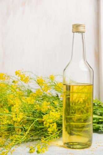 Glasflasche mit Raps Öl Lebensmittel Bioprodukte Vegetarische Ernährung Diät Flasche Stil Design Gesunde Ernährung Natur Pflanze Blatt Blüte Nutzpflanze gelb