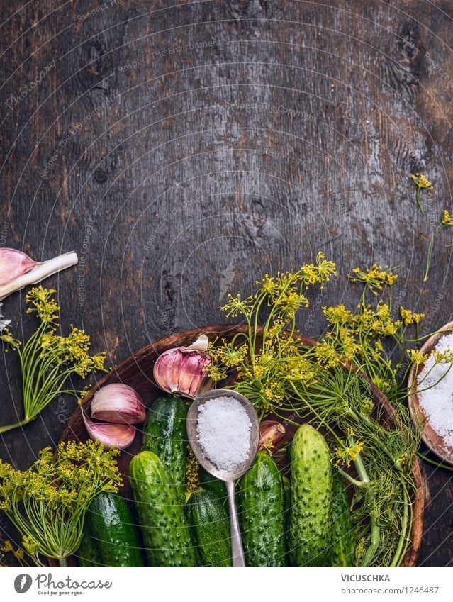 Gurken einlegen Lebensmittel Gemüse Kräuter & Gewürze Ernährung Bioprodukte Vegetarische Ernährung Diät Teller Schalen & Schüsseln Löffel Stil Design