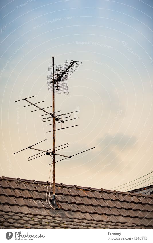 Auf Empfang... Haus Gebäude Dach Antenne alt hoch Fortschritt empfangsbereit Kabel Fernseher Radiogerät analog terrestrisch Farbfoto Außenaufnahme