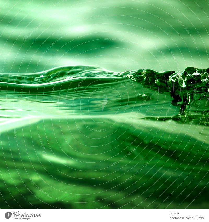 Nahe am Wasser Wellen grün See liquide Flüssigkeit weich zart ruhig beruhigend Nebel grau dunkel bedrohlich leer Luft ursprünglich tief kalt Einsamkeit Ödland
