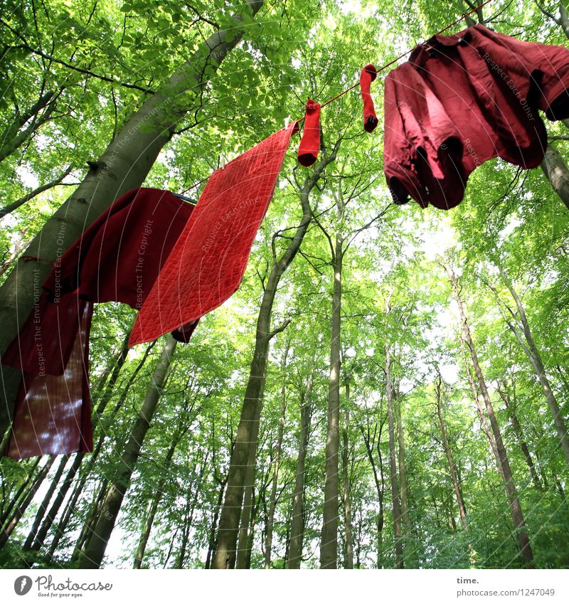 PZ3 | Red Stuff Day Kunst Ausstellung Kunstwerk Sommer Schönes Wetter Baum Blatt Wald Hemd Stoff Strümpfe Handtuch Dekoration & Verzierung Sammlerstück