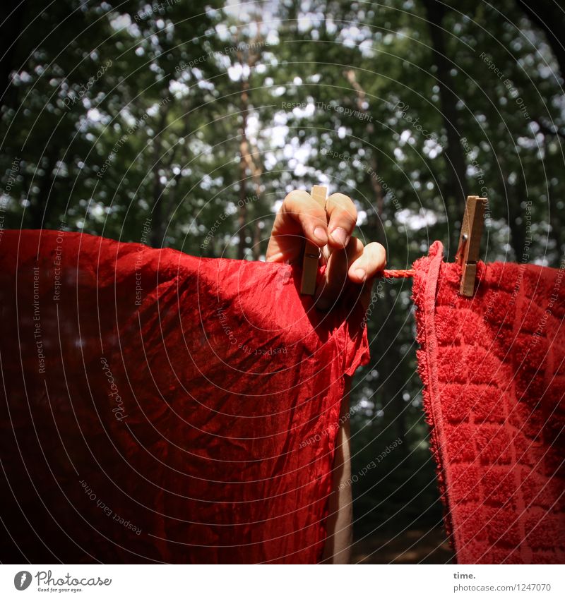 PZ3 | Red Stuff Day Preparation Hand Finger 1 Mensch Kunstwerk Installationen Schönes Wetter Wald Stoff Wäscheleine Wäscheklammern Handtuch hängen grün rot