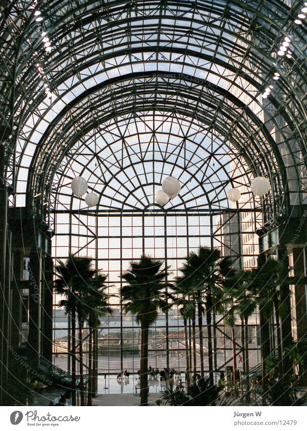 Atrium im World Financial Center, New York 1989 New York City Palme Fenster world finacial center USA Glas Architektur Glasdach filigran Innenaufnahme