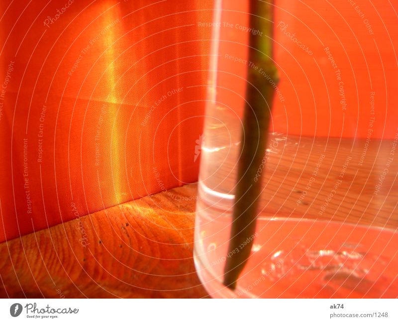 Vase Fototechnik orange Schatten Reflektion