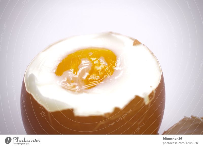 Immer wieder sonntags... Lebensmittel Ernährung Frühstück Büffet Brunch Bioprodukte Eiergerichte Hühnerei lecker Cholesterin Eigelb kochen & garen Eierschale