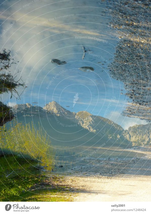 Berg im Spiegel... Natur Erde Sonnenlicht Schönes Wetter Berge u. Gebirge Alpen Gipfel Flüssigkeit natürlich bizarr Einsamkeit Idylle träumen Pfütze