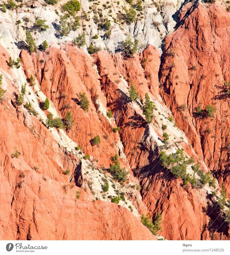 Tal Daten im Atlas Tourismus Sommer Berge u. Gebirge Natur Landschaft Pflanze Sand Himmel Klima Baum Hügel Felsen Oase Gebäude Stein Farbe Dades trocken