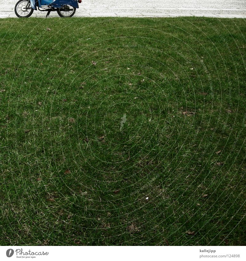 frühlingsbote Kleinmotorrad Schwalben Oldtimer fahren Wachstum Parkplatz Feinstaub Umwelt Landschaftsformen Liegewiese Vorgarten Erholungsgebiet