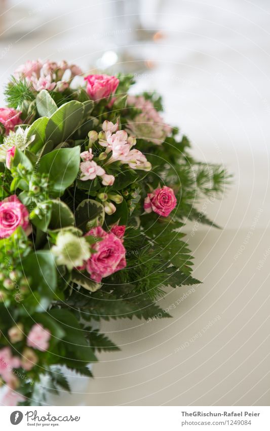 Tischdeko Natur Pflanze Rose grau grün violett rosa türkis weiß Tischdekoration Blume Detailaufnahme Farn Blumenstrauß Blatt edel Dekoration & Verzierung