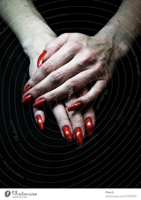 blutrot Haut Nagellack Erholung Mensch Frau Erwachsene Hand Krallen authentisch dünn lang lackiert Frauenhand extrem Gefäße Farbfoto Starke Tiefenschärfe