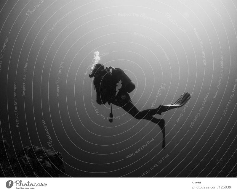 Into the deep tauchen Taucher Schweben Meer Mann Einsamkeit Unterwasseraufnahme Wassersport Schwarzweißfoto Dive Diving Sport Mensch