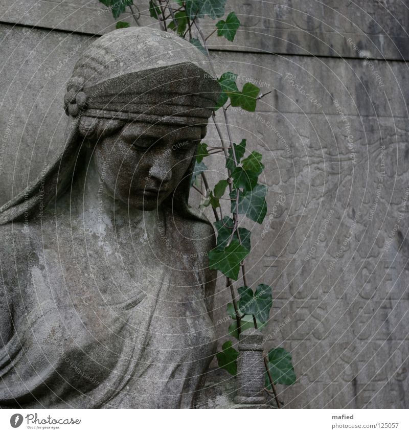 Heldentod Friedhof Grab Denkmal Statue Granit grau grün braun Efeu Trauer erinnern Krieg Weltkrieg chaotisch Zerstörung verwüstet Massenmord Faschist