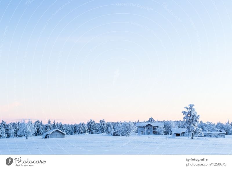 In Winterwonderland Schnee Haus Lappland Schweden fantastisch blau orange weiß Gefühle verirrt Verlassen Verlorener Ort alt Farbfoto Menschenleer Sonnenaufgang