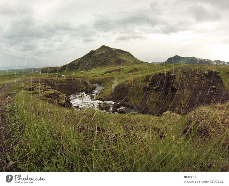 am Ende kommt der Wasserfall Natur Landschaft Tier Wolken Sommer Wetter Berge u. Gebirge Vulkan Schlucht Fluss Stimmung Island grün Ferne Reisefotografie bergig