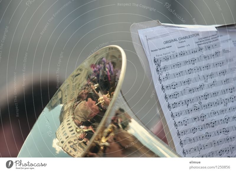 Charleston Freizeit & Hobby Feste & Feiern Musik Musiker Orchester Tuba Musiknoten Notenschlüssel Marschmusik Notenlesen Fröhlichkeit Stimmung Freude