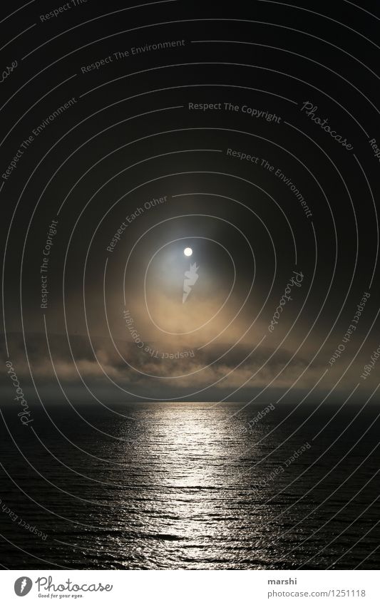mystisch Natur Landschaft Küste Seeufer Meer Insel Stimmung Spiegelsee Sonnenfinsternis Wolken Nebel Island Reisefotografie Farbfoto Außenaufnahme Abend