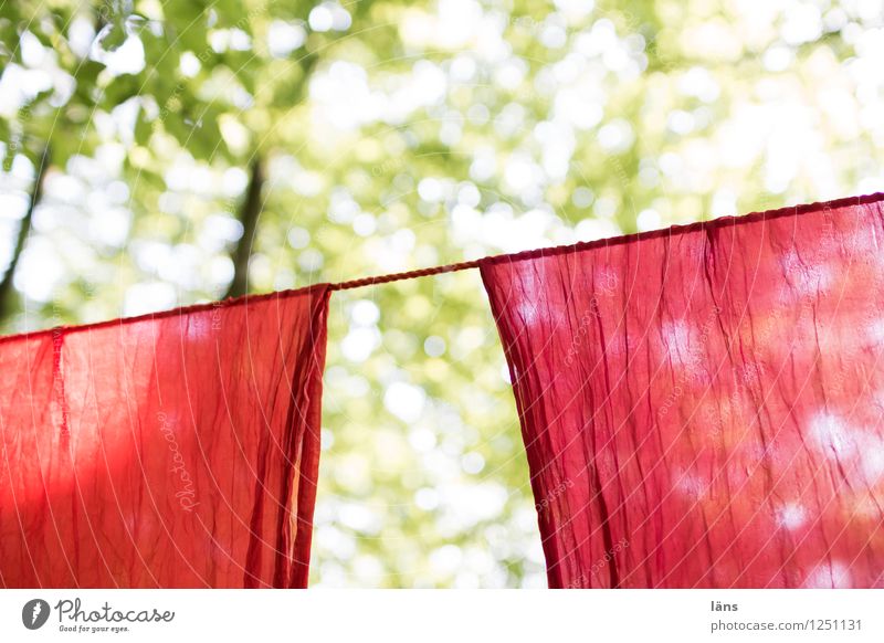 pZ3 l rot und rot wäscheleine wald trocknen vorhang hängen