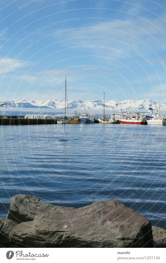 Husavik Freizeit & Hobby Natur Landschaft Sonne Sommer Berge u. Gebirge Vulkan Küste Seeufer Bucht Fjord Meer Insel Stimmung Reisefotografie Island bergig