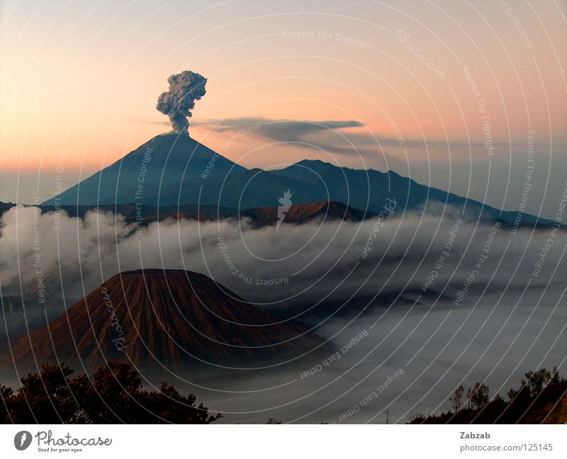 Bromo ruhig Gelassenheit Ausbruch Asien Indonesien Java Eruption rosa rot braun grau schwarz Stimmung Außenaufnahme Nebel Wolken Baum Sträucher Dämmerung