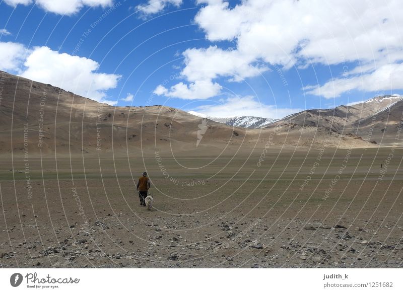 ...der einsame Schäfer... Mensch maskulin 1 Urelemente Himmel Felsen Berge u. Gebirge Himalaya Indien Ladakh Leh Tier Nutztier Schaf Ziegen Bewegung gehen Ferne