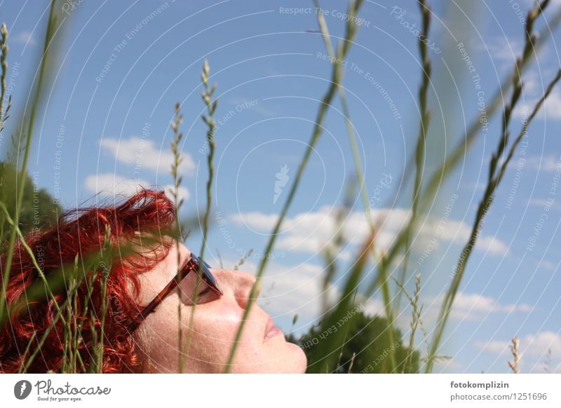 ruhende Frau im Gras Wohlgefühl Sinnesorgane Erholung ruhig Sommer Sonnenbad feminin Sonnenbrille genießen liegen Lebensfreude Gelassenheit Pause