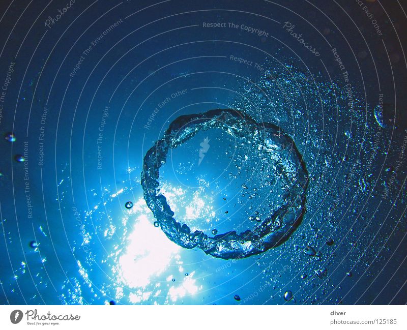 Blasenring tauchen Meerwasser Oberfläche Luftblase rund Licht Experiment Spielen Unterwasseraufnahme Wassersport Dive Diving blasen Kreis Strukturen & Formen