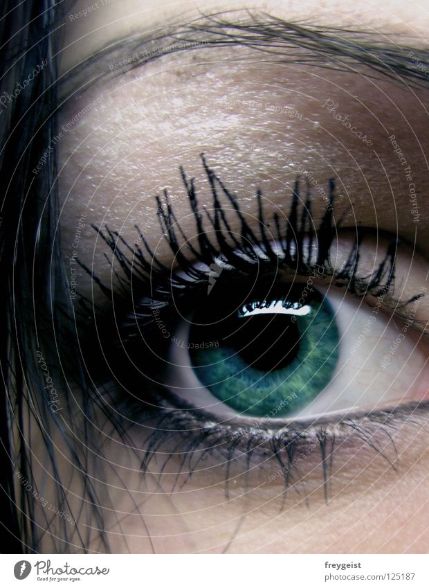 Dark Green Haare & Frisuren Gesicht Schminke Wimperntusche Auge dunkel grün schwarz geheimnisvoll Augenbraue Pupille mystisch Kajal dark eye eyes anni k. lashes