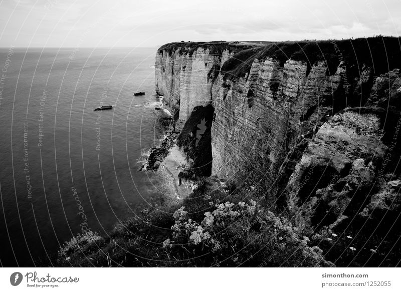 Klippen von Etretat Natur Landschaft Erde Klima Wetter Felsen Schlucht Wellen Küste Bucht Fjord Nordsee Meer Insel Unendlichkeit Étretat Normandie Frankreich