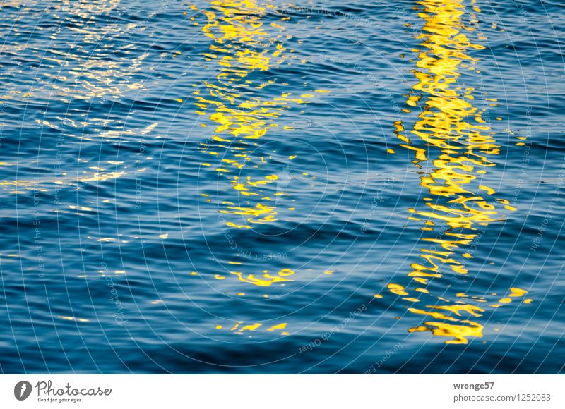 Wasserfarben Wellen Ostsee Hafen blau gelb Wasseroberfläche Farbfoto mehrfarbig Außenaufnahme Menschenleer Textfreiraum links Textfreiraum oben