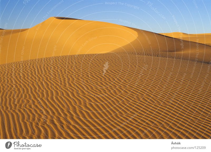 Sandwellen Afrika Wellen Niger Wüste Sahara Stranddüne