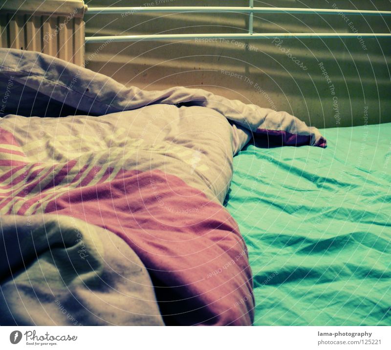 One Wild Night Bett Bettdecke Bettwäsche Falte unordentlich gebraucht schlafen unruhig träumen Alptraum Wohngemeinschaft Wohnung Schlafzimmer grün violett Möbel