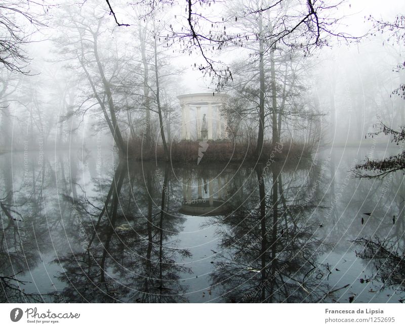 Insel im See Wasser Winter Nebel Park Teich historisch kalt Kitsch blau weiß Einsamkeit elegant Frieden Zufriedenheit Horizont Idylle Kultur Kunst Mittelpunkt