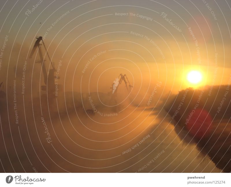 Kranentanz im Morgennebel Nebel Gegenlicht Ruhrgebiet Nebelbank Himmelskörper & Weltall Abwasserkanal Sonne Sonnenaufgan Industire Hafen Lünen Rauch Sun Sunrise