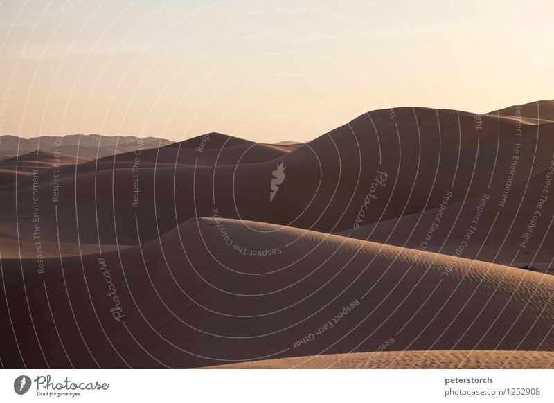 Düne 7 Natur Landschaft Sand Wolkenloser Himmel Wüste ästhetisch außergewöhnlich exotisch Ferne Unendlichkeit rund Stimmung Abenteuer elegant erleben Freiheit