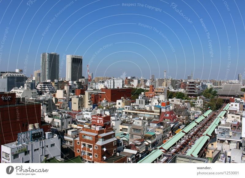 Blick auf die Großstadt Tokyo, Japan Ferne Sightseeing Städtereise Himmel Wolkenloser Himmel Horizont Sonnenlicht Schönes Wetter Asien Stadt Hauptstadt