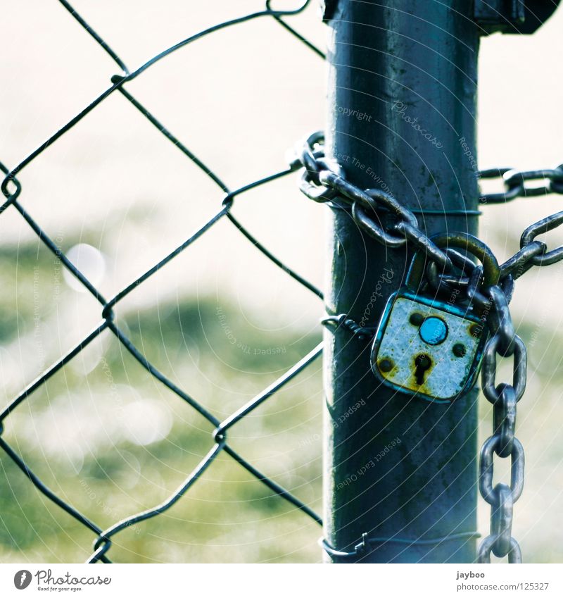 Kein Durchkommen Maschendrahtzaun Zaun Vorhängeschloss Wiese grün geschlossen Schlüssel Durchgang gefangen Detailaufnahme blau Kette kein entkommen