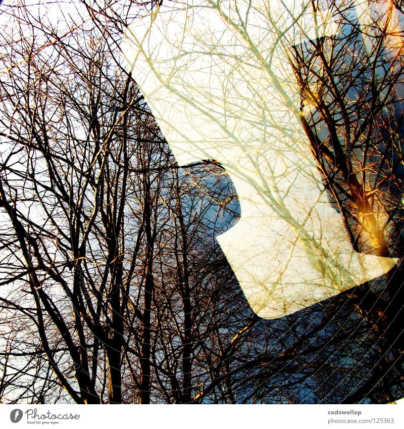 formhimmel Bagger Reflexion & Spiegelung Fenster Baum Schiebedach grün Winter Licht Verkehr sunroof tree fahrerhaus Ast Gerät digger führerstandklimatisierung
