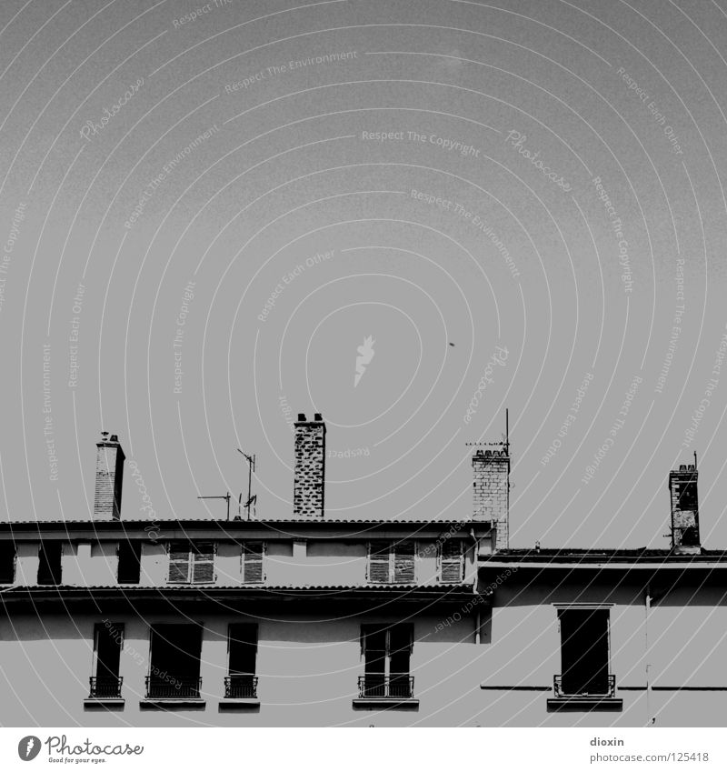 Les Toits De Lyon #1 schwarz weiß grau Dach Fenster Fensterladen Dachgeschoss Antenne Frankreich Haus Stadthaus Schwarzweißfoto black white Schornstein