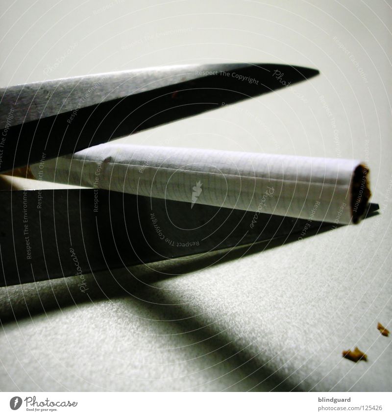 Die Letzte Zigarette Stress Rauschmittel Nikotin Teer Kondenswasser Verbote Regierung Subvention Tabak Packung Rauchen teuer beenden Glut brennen genießen Foyer