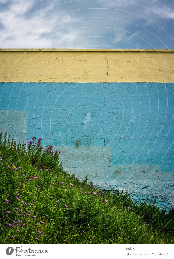 whnsthrln Sommer Umwelt Natur Himmel Wolken Gras Blüte Garten Mauer Wand alt trashig blau gelb Kreativität Verfall Vergangenheit Vergänglichkeit Streifen