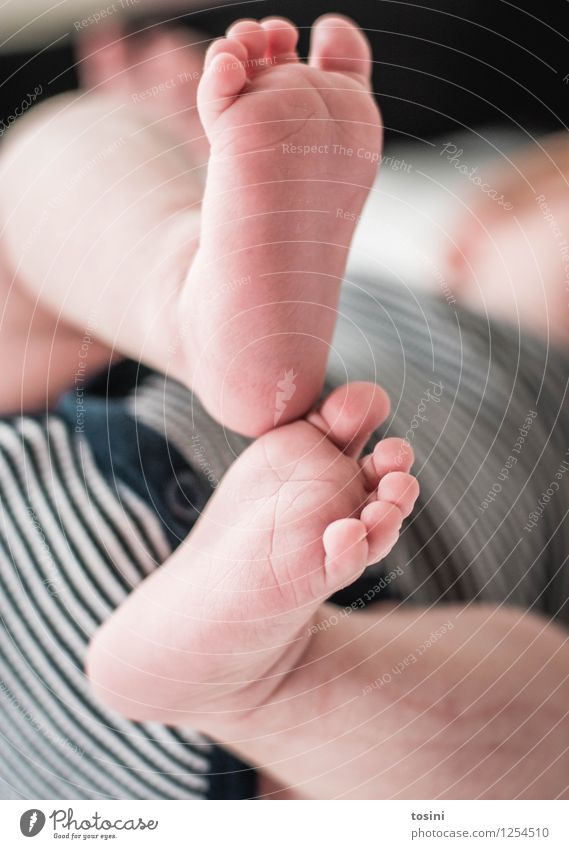 Baby-Füße II Mensch Fuß 1 klein 0-12 Monate Zehen verwundbar Hilfsbedürftig Fußspur nackt neu Glück Lebenssinn Schwache Tiefenschärfe wunderbar Wunder Farbfoto