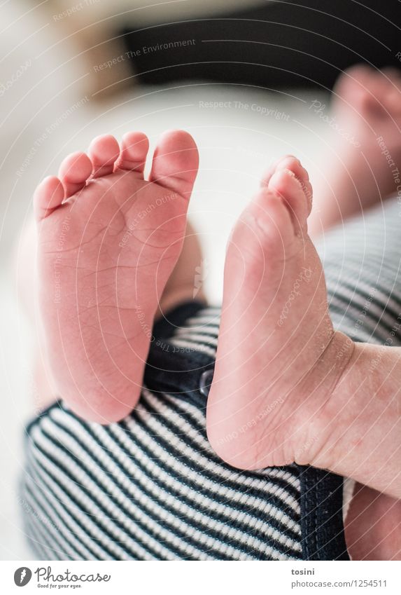 Baby-Füße III Mensch Fuß 1 0-12 Monate klein Zehen verwundbar Hilfsbedürftig Fußspur nackt strampler strampeln Glück Lebenssinn wunderbar Wunder Farbfoto