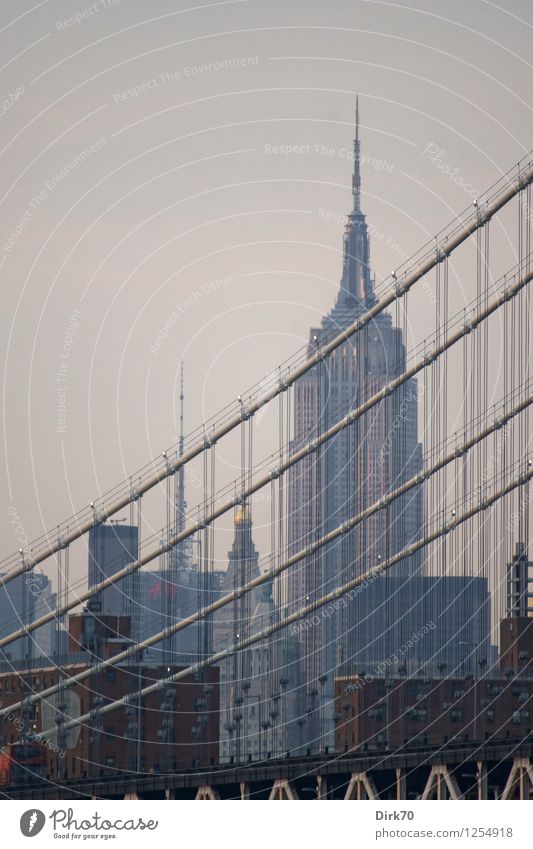 Empire State Building, nah' der blauen Stunde Ferien & Urlaub & Reisen Tourismus Ferne Sightseeing Städtereise Fortschritt Zukunft High-Tech Himmel