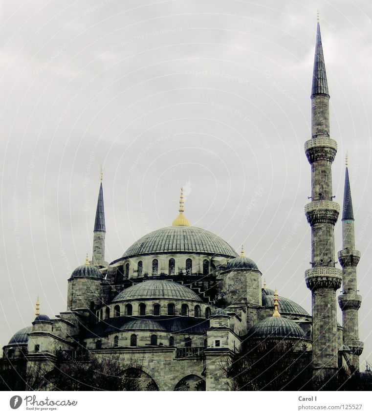 mächtig Moschee Gebet Allah Götter Glaube Ferien & Urlaub & Reisen Kunst Istanbul Türkei Religion & Glaube Teppich Minarett Kuppeldach Gotteshäuser Moslem