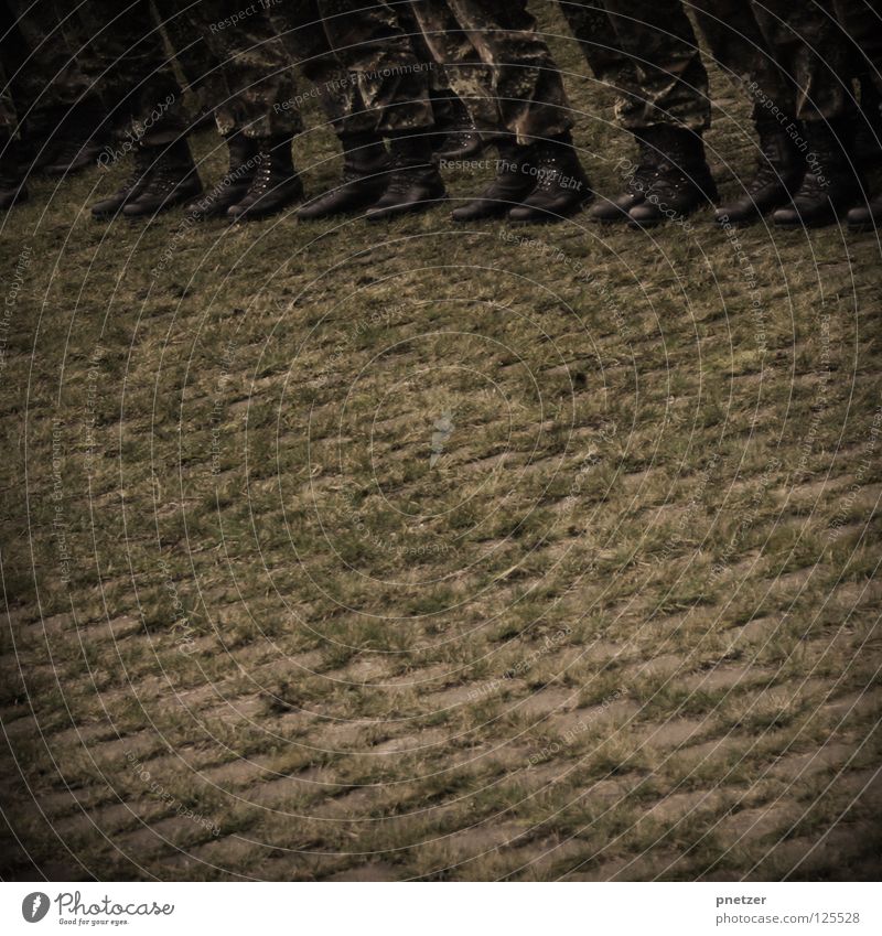 Stillgestanden! Uniform grün Ordnung Stiefel schwarz Tarnung Militärgebäude Gras Kraft Mann Sicherheit tarn Fleck antreten Reihe schneidig