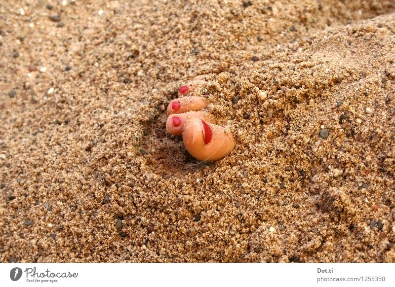 verschütt jejange Fuß Sand Sommer Strand Erholung rot Freude Neugier Überraschung Ferien & Urlaub & Reisen Zehen Zehennagel lackiert eingegraben eingraben